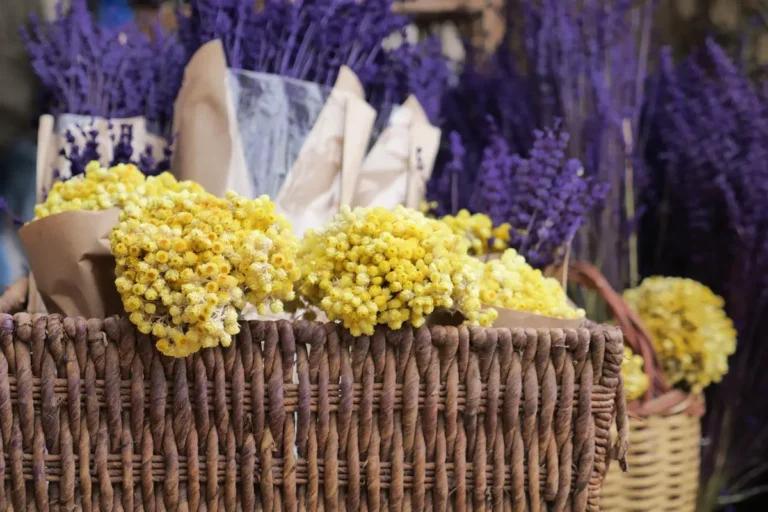 Marché provençal de Bormes-les-Mimosas